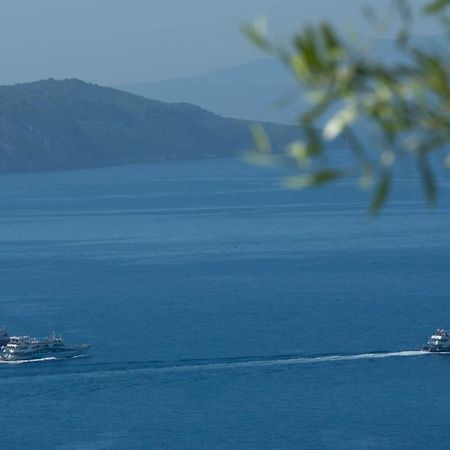 Villa Eione-Thaleia ซีโวตา ภายนอก รูปภาพ